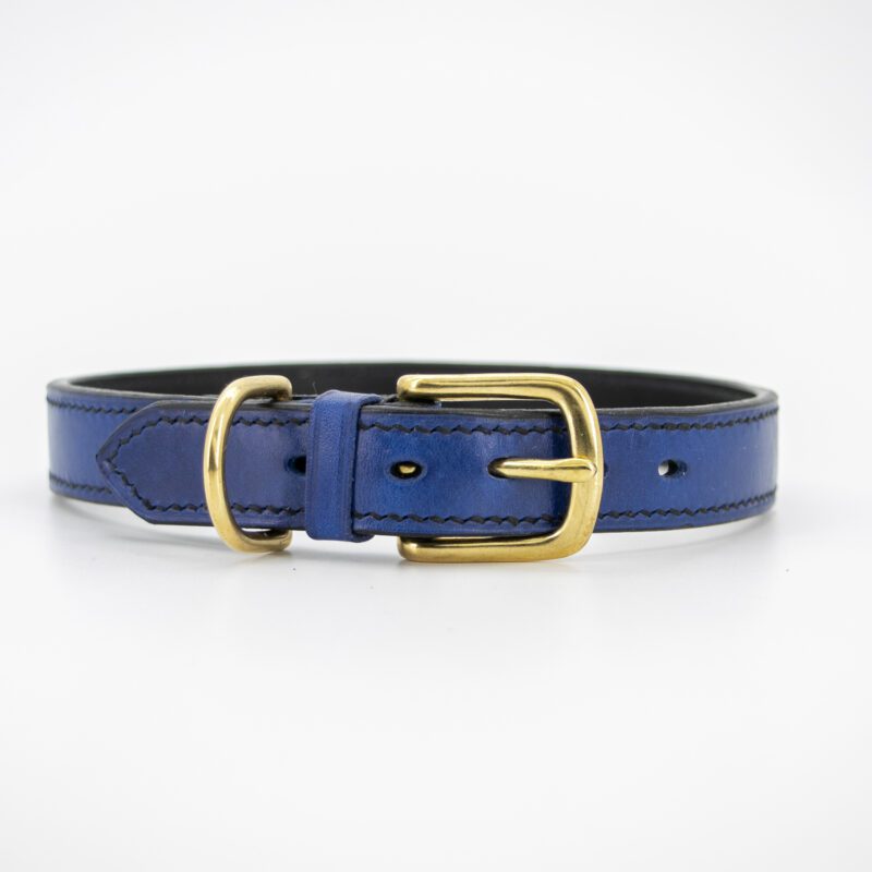 Brass buckle of cobalt blue leather dog collar